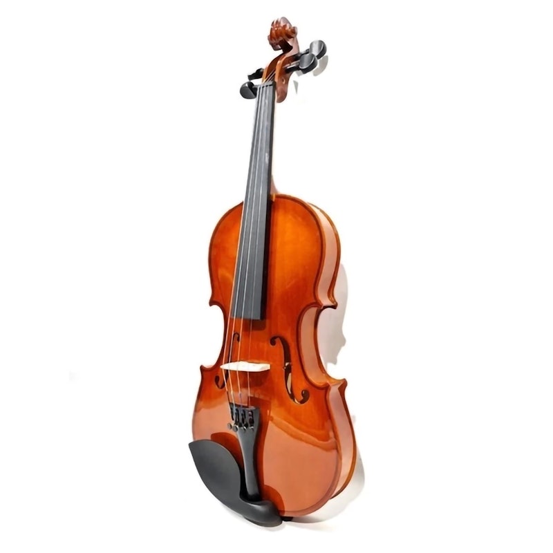 Vienna Biola Akustik 3