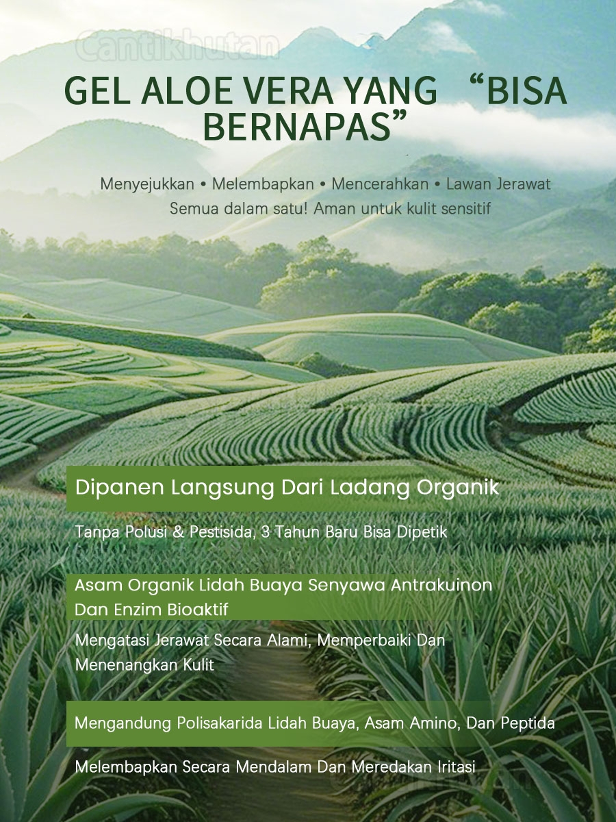  Cantik Hutan Aloe Vera Gel