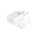 RAPAtech RAPAtech Power Mini GaN with USB-C to USB-C 60W Cable 1