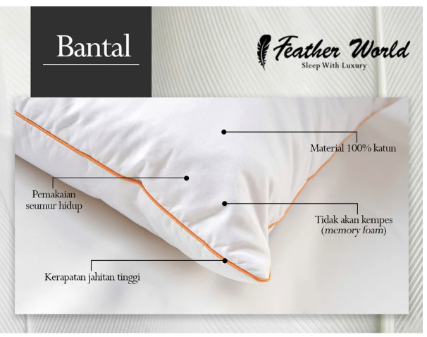 Feather World Feather World Pillow King Regent 