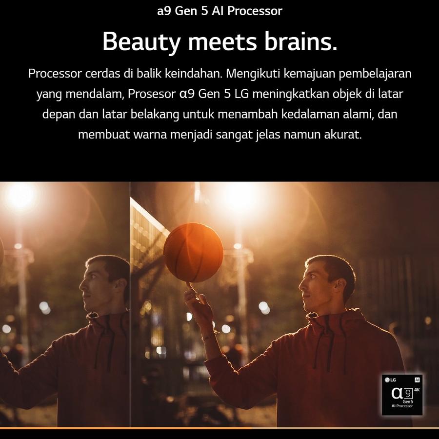 LG Electronics LG OLED evo C2 55 inch 4K Smart TV OLED55C2PSA