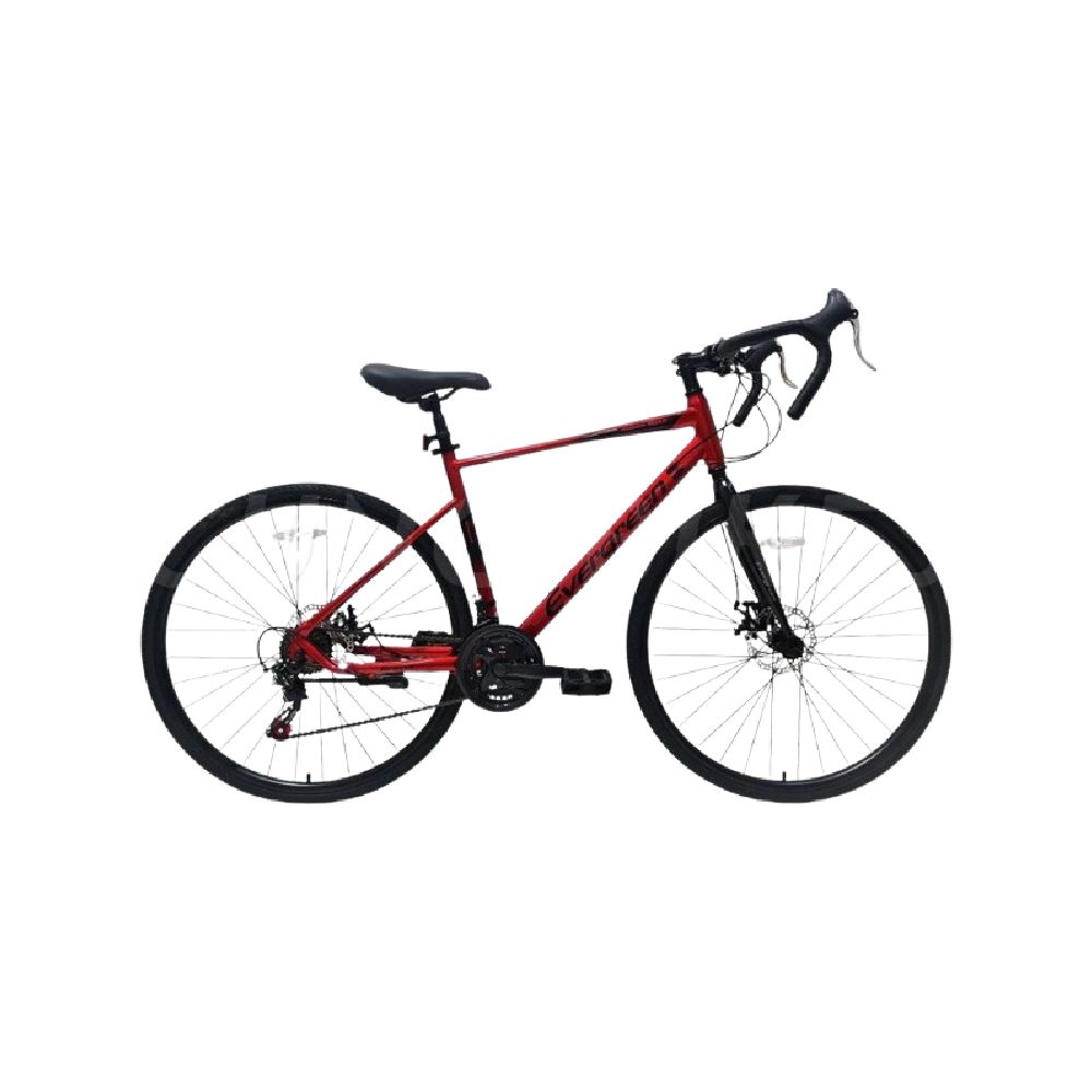 Evergreen Gravel Boston 700 cc