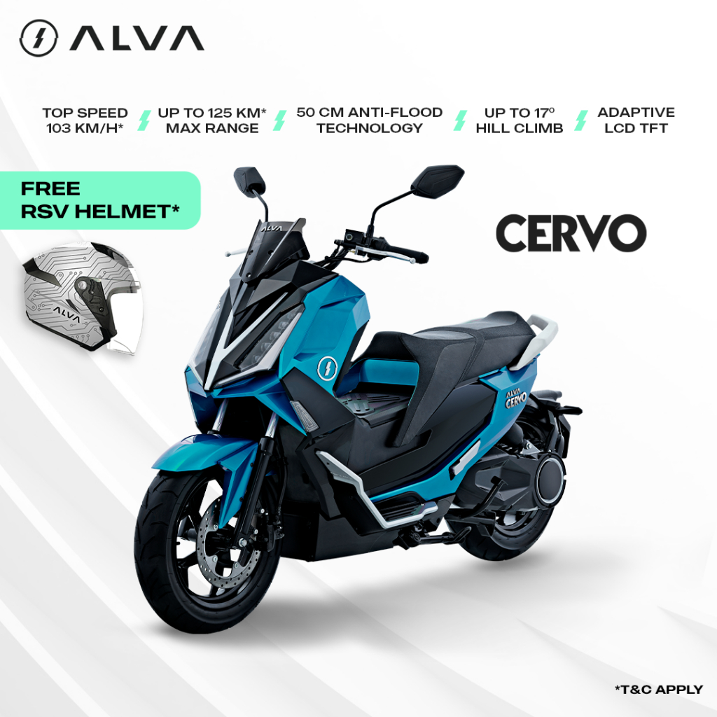ALVA CERVO 2