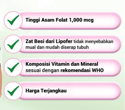 DKT Indonesia Andalan Nutrifemme Folamom