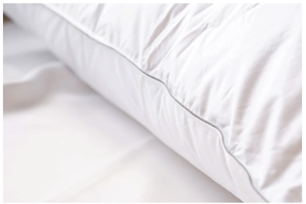 Feather World Feather World Pillow King Regent 