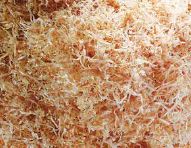 Fukushima Katsuo Ito Kezuri