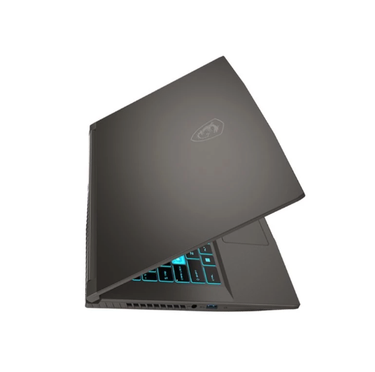 MSI MSI Thin 15 B12UC.2405