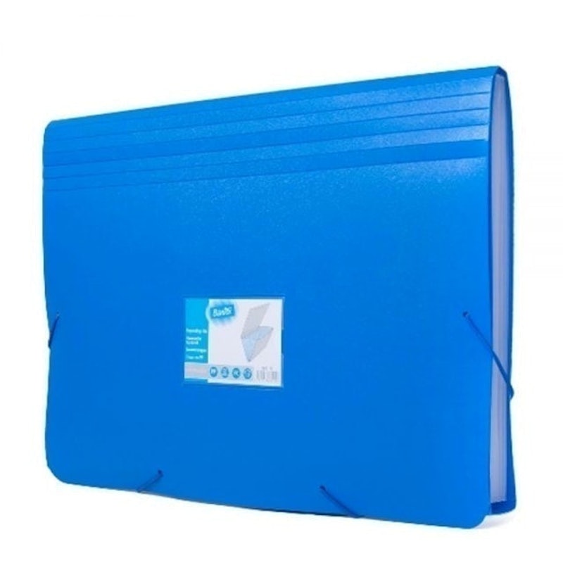 12 Pockets Expanding Files 3601