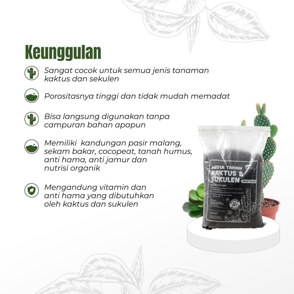 Planteria.id Media Tanam Kaktus dan Sukulen
