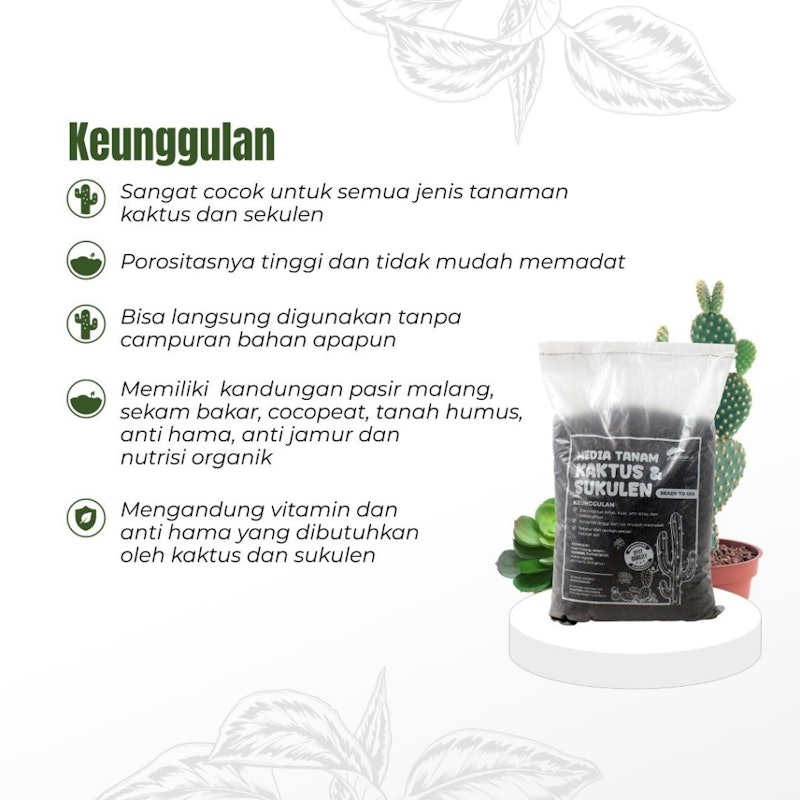 Planteria.id Media Tanam Kaktus dan Sukulen 3