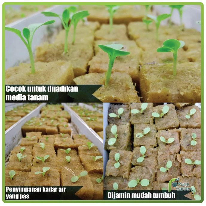 Purie Garden Rockwool 