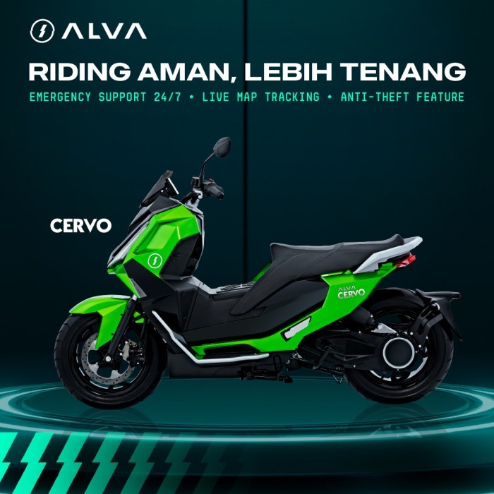 ALVA CERVO 5