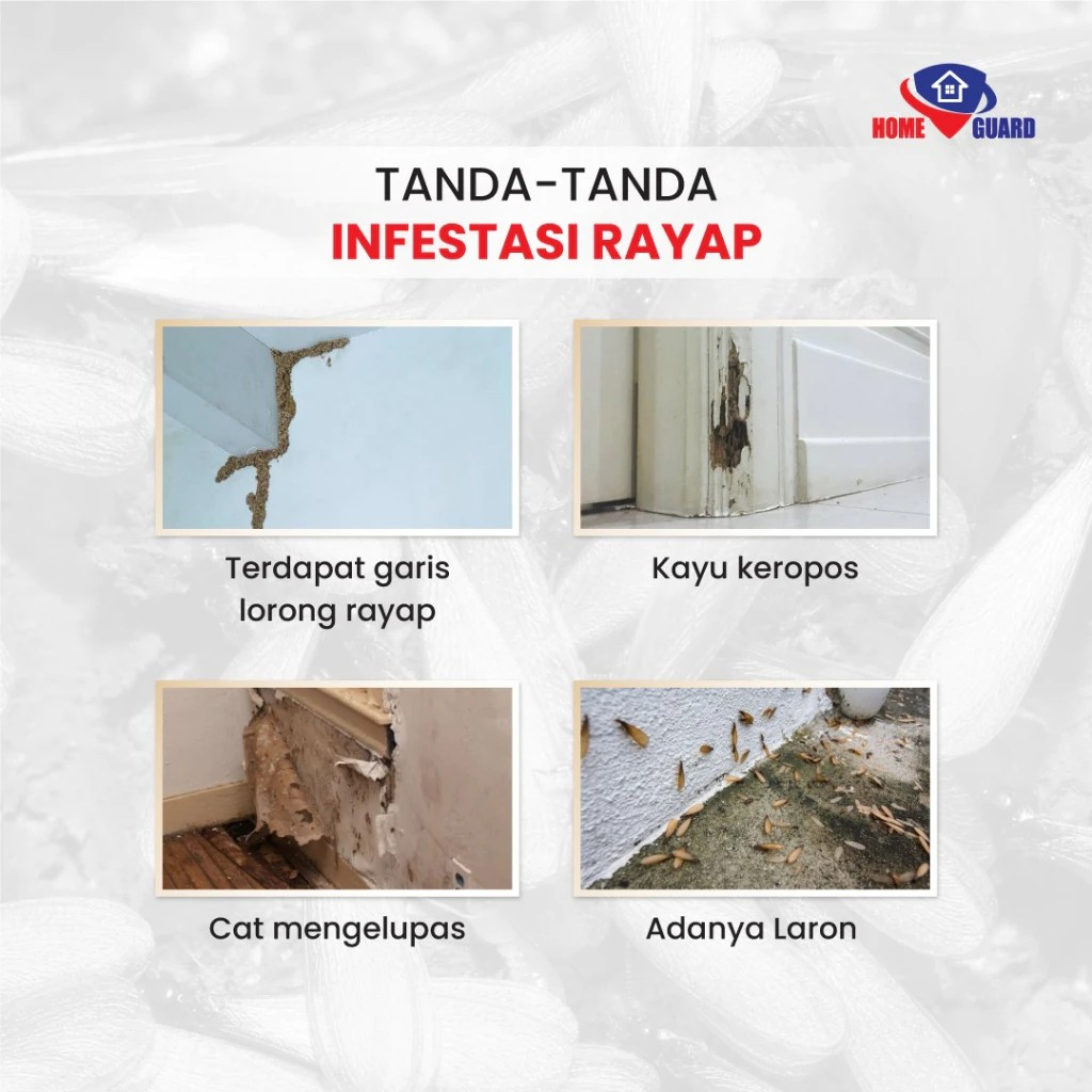  Home Guard Anti Rayap