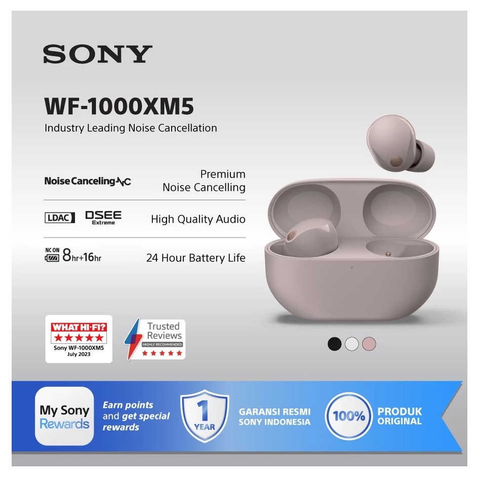 Sony Group Sony True Wireless Earbuds WF-1000XM5