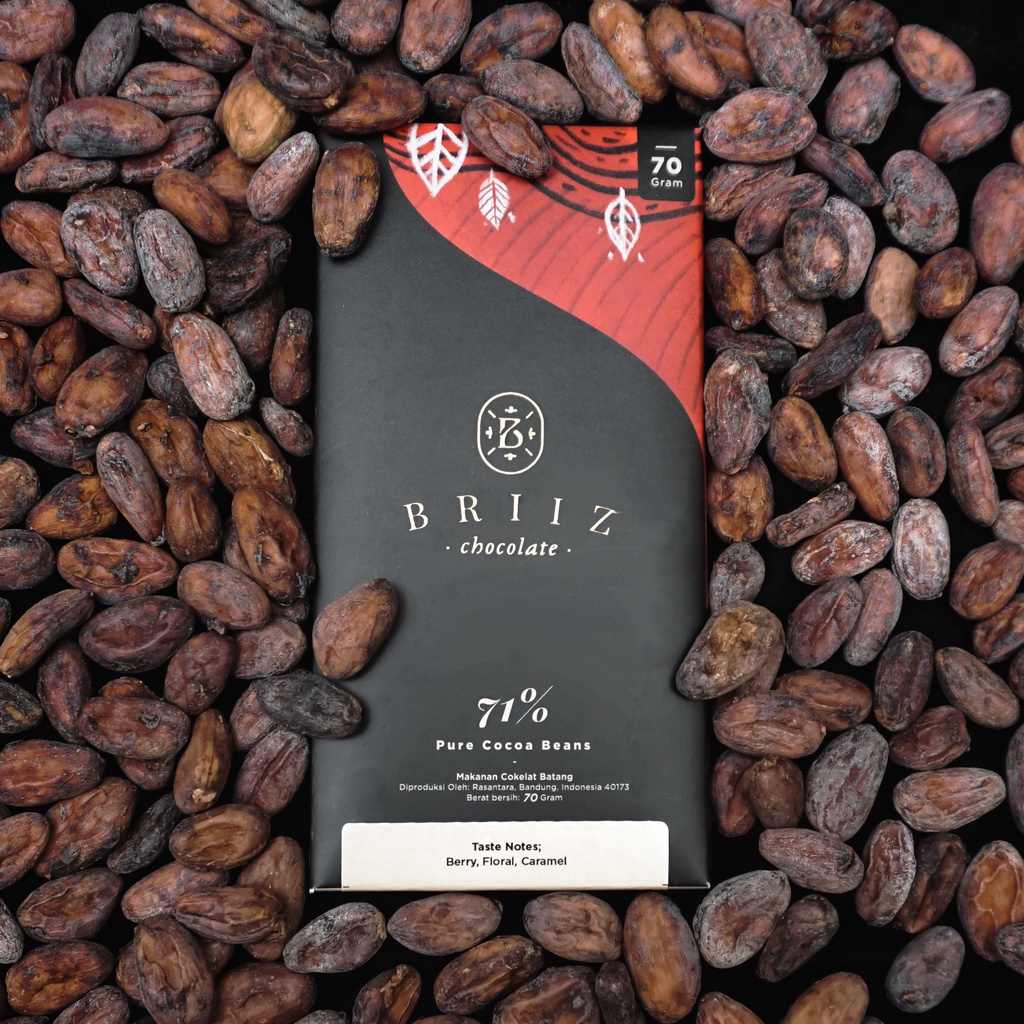 Briiz 71% Pure Cocoa Beans 