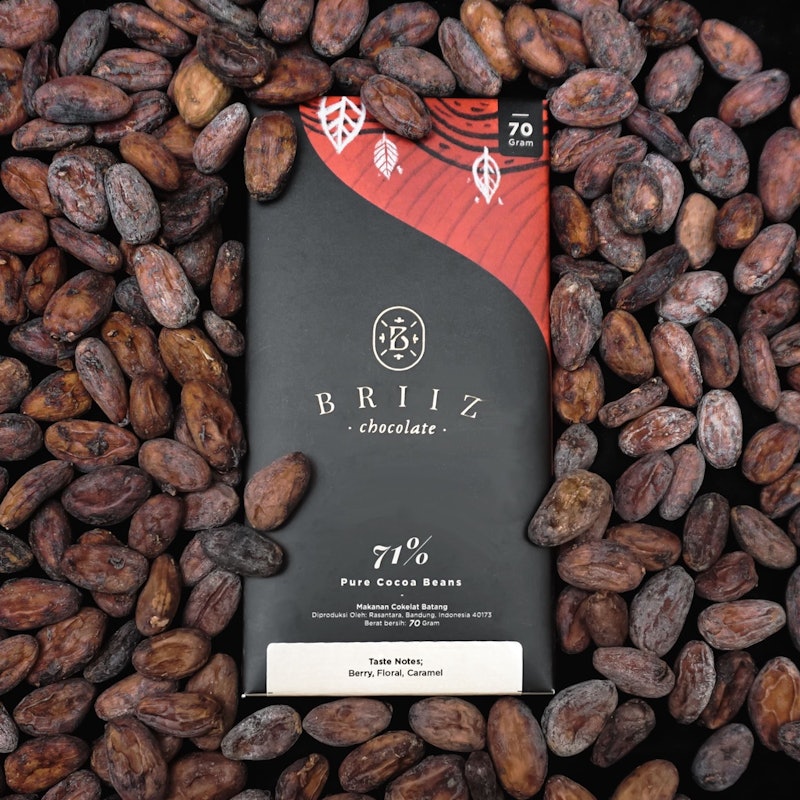 Briiz 71% Pure Cocoa Beans 2