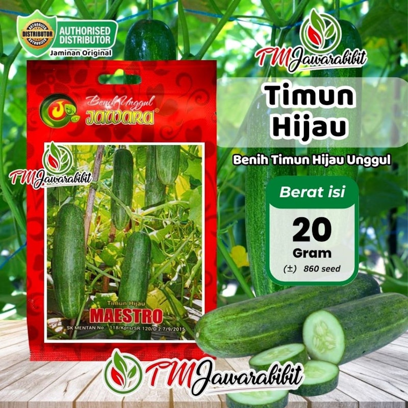 Jawara Benih Timun Hijau Unggul MAESTRO 2