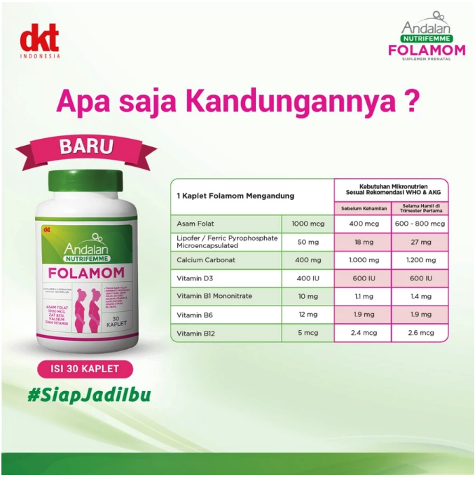 DKT Indonesia Andalan Nutrifemme Folamom