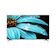 SHARP Electronics 55 Inch 4K Frameless Google TV 1