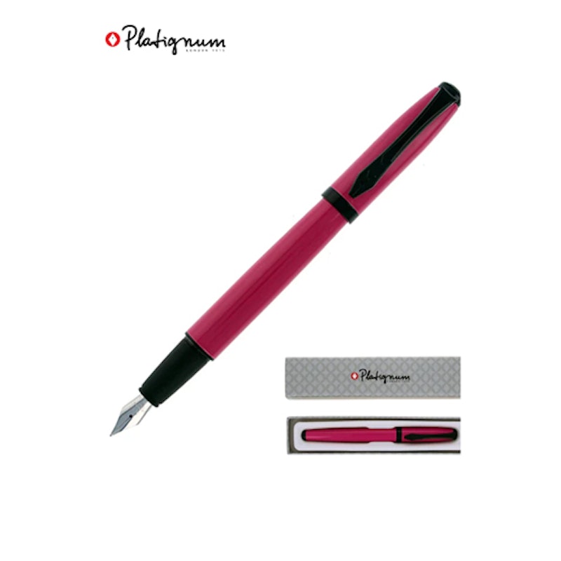 Platignum Studio Fountain Pen 3
