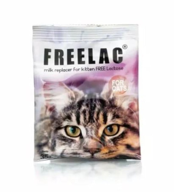 Milk Replacer for Kitten