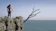 20th Century Fox, DreamWorks Pictures. ImageMovers, Playtone Cast Away 1