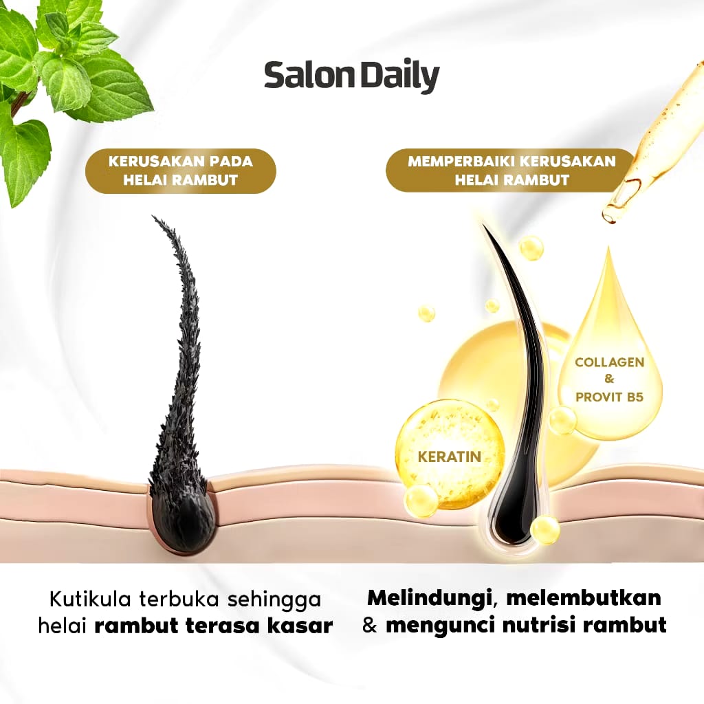 Akasha Wira International Makarizo Professional Salon Daily Professional Conditioner