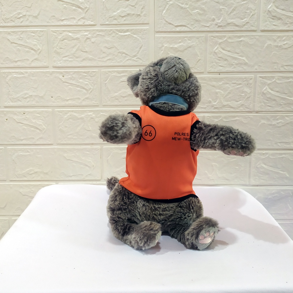  Baju Kucing Model Tahanan Rumah