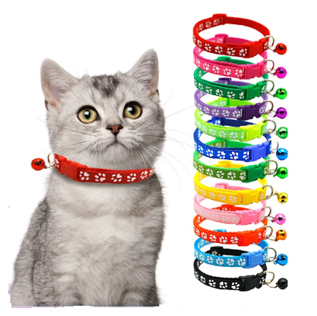 10 Rekomendasi Kalung Kucing Terbaik  [Ditinjau Dokter Hewan]  3