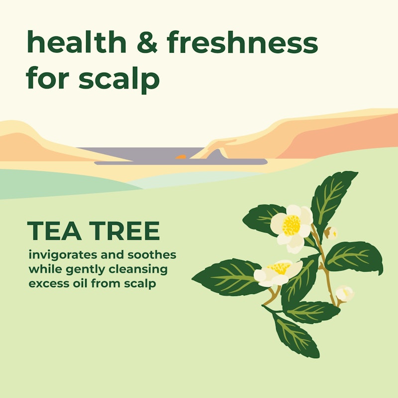 Petal Fresh Pure Scalp Treatment Shampoo with Tea Tree 5