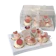 Box Mika Muffin Premium 1