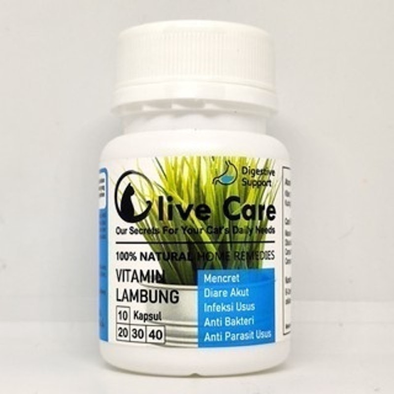 Olive Care Vitamin Lambung