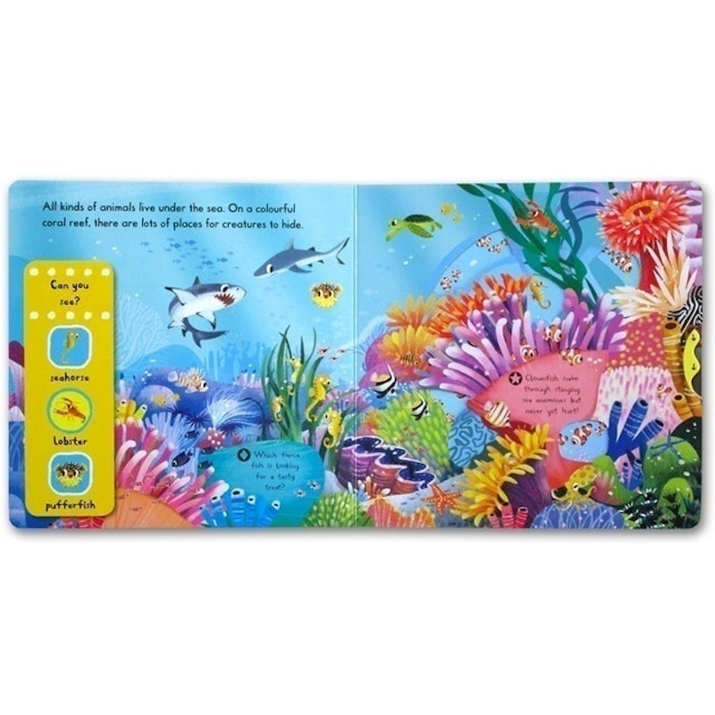 First Explorers - Sea Creatures 2