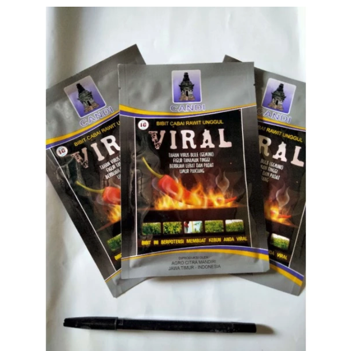 Agro Citra Mandiri Candi Bibit Cabai Rawit Unggul Viral