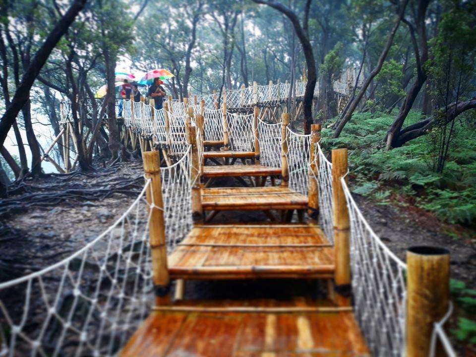Kawah Putih 5