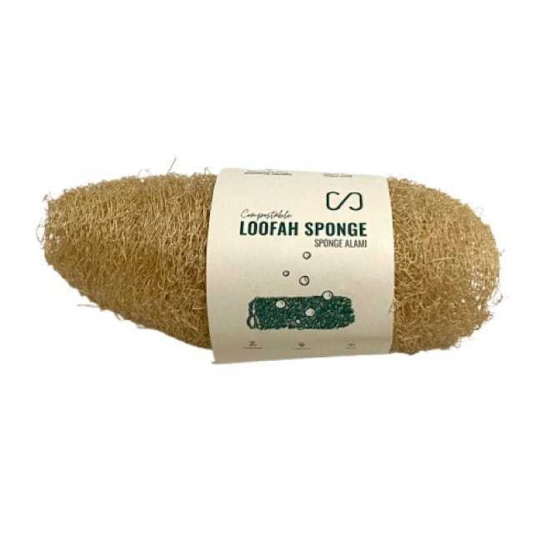 Sustaination Loofah Sponge 1