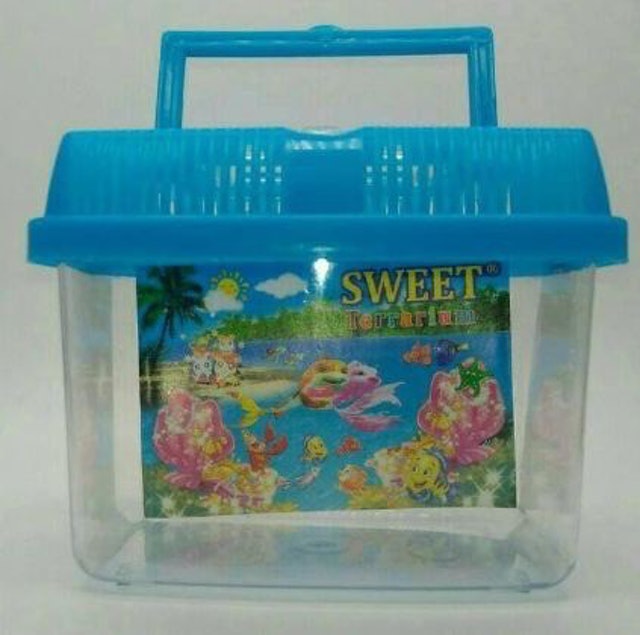 10 Aquarium Kecil Terbaik - Ditinjau oleh Pebisnis Ikan Cupang (Terbaru Tahun 2026) 5