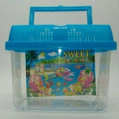 Small Aquarium Sweet Terrarium