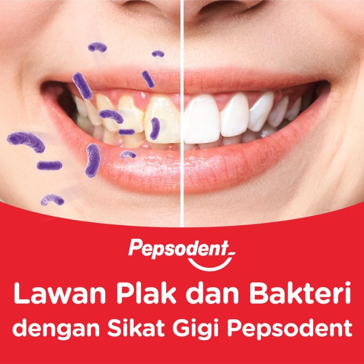 Sikat Gigi Travel Kit Soft 5