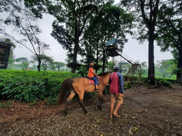 Wisata Agro Wonosari 2