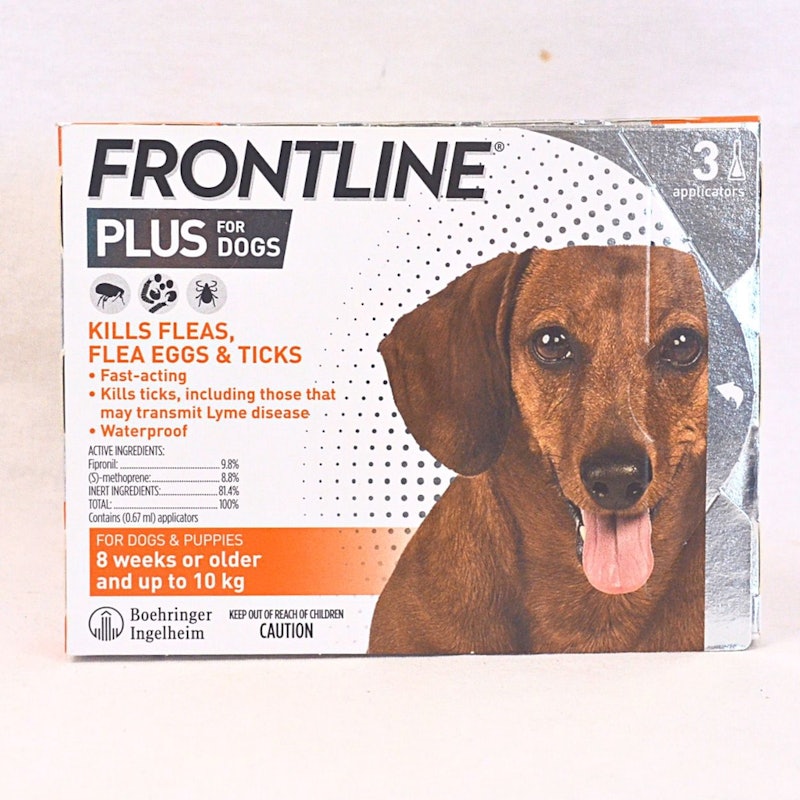 Plus for Small Dog 2