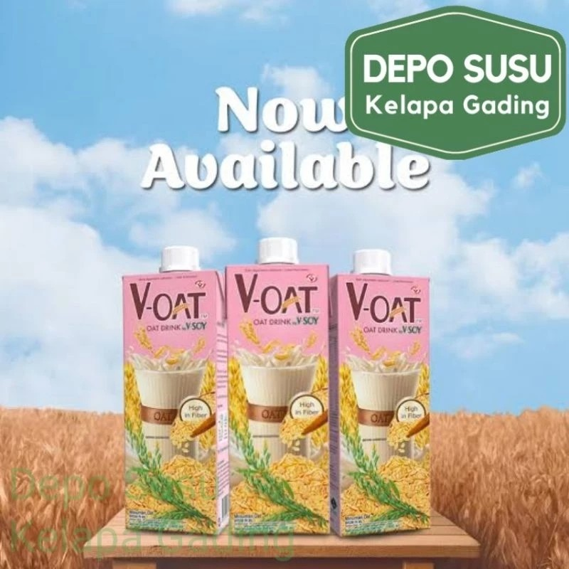 Green Spot V-Oat Oat Drink by V-Soy