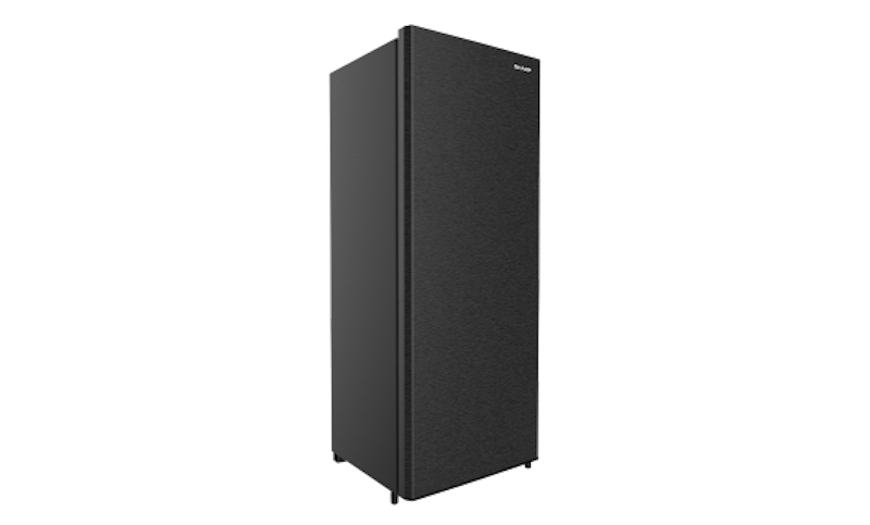 Standing Freezer 2