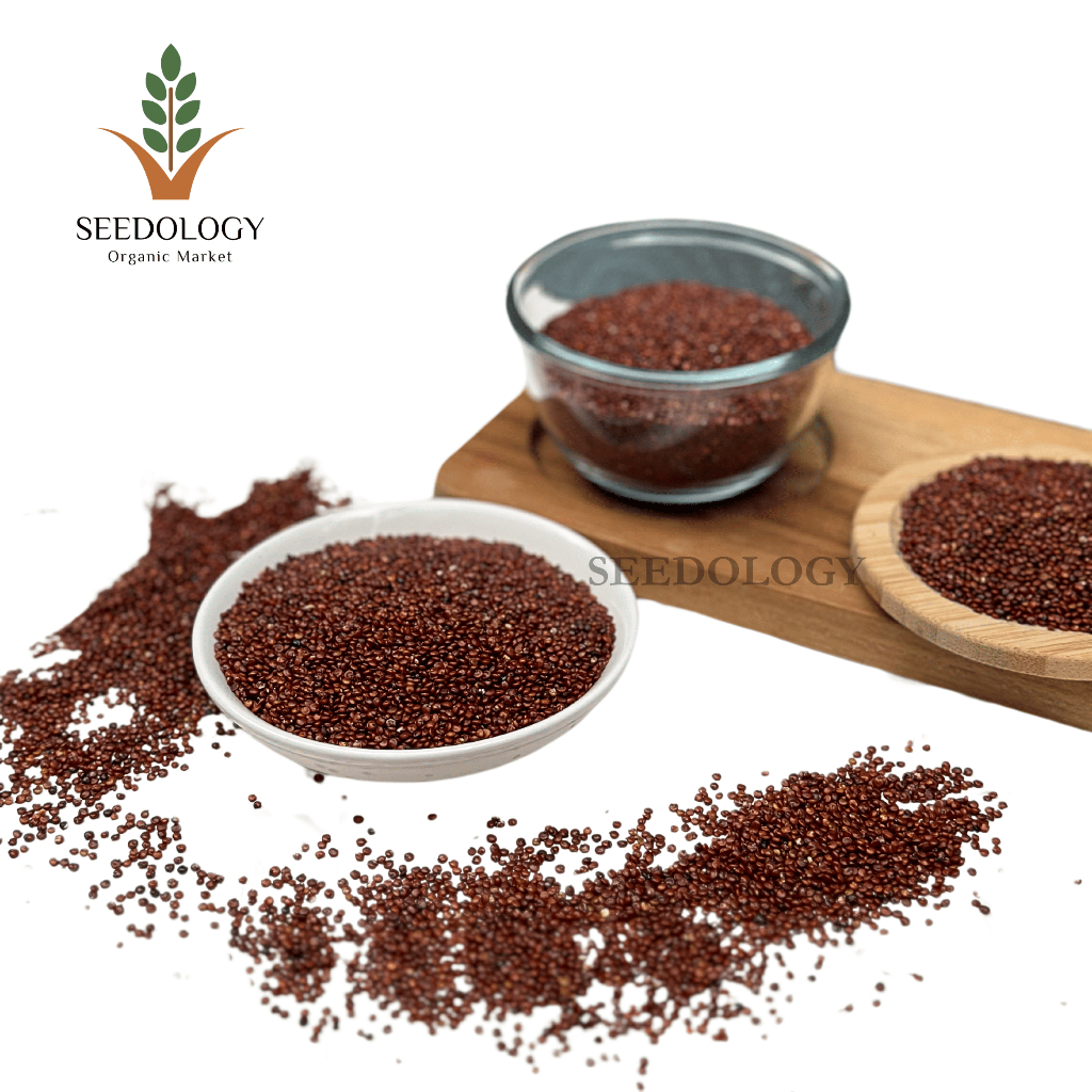 Seedology Organic Red Quinoa