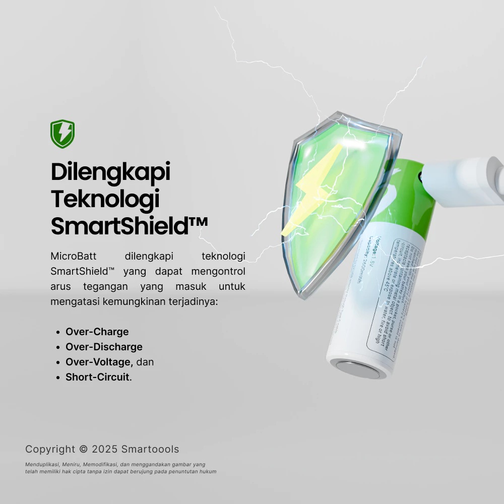 Smartoools PowerBatt AA