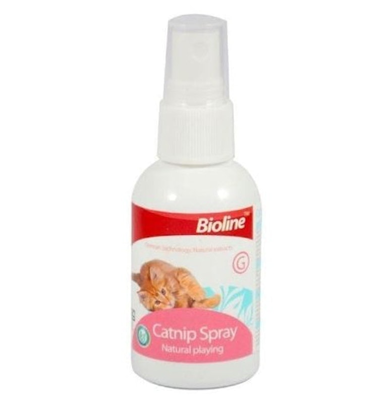 Catnip Spray 1