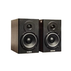 Dolphin Flat Monitor Speaker