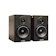 Dolphin Audio Dolphin Flat Monitor Speaker 1