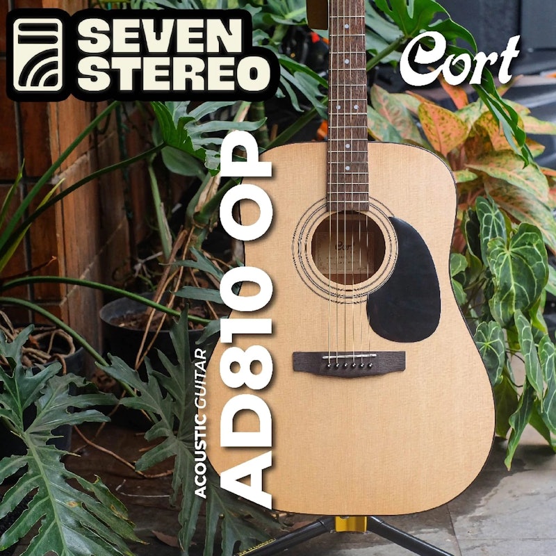 Cort Gitar Acoustic 2