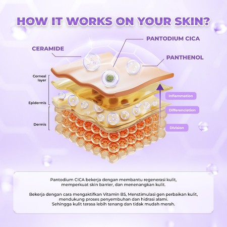 Triple Care Ceramoist B5 Barrier Boost Cream 5